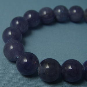 �V�R�΃r�[�Y,�^���U�i�C�g,�u���[�]�C�T�C�g,�z����,���K�[��