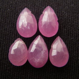 �V�R�΃r�[�Y,���r�[,���K�[��