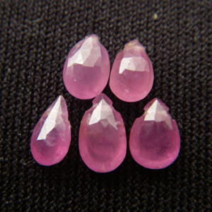 �V�R�΃r�[�Y,���r�[,���K�[��