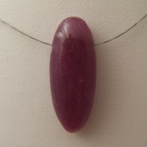 �V�R�΃r�[�Y,���r�[,���K�[��