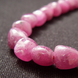 �V�R�΃r�[�Y,���r�[,���K�[��