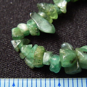 �G�������h�E�T�U���E�V�R�΃r�[�Y�E���K�[��