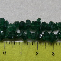 �A�x���`�������E�T�U���`�V�R�΃r�[�Y�E���K�[��