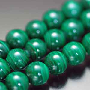 �V�R�΃r�[�Y,�}���J�C�g,�E����,���K�[��