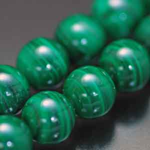 �V�R�΃r�[�Y,�}���J�C�g,�E����,���K�[��