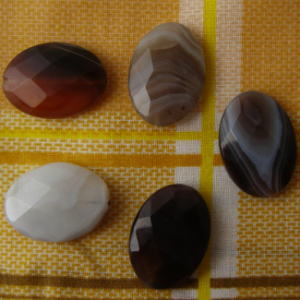 �V�R�΃r�[�Y,�{�c���i�A�Q�[�g,���K�[��