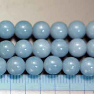 �G���W�F���C�g�E�ہE�V�R�΃r�[�Y�E���K�[��