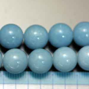 �G���W�F���C�g�E�ہE�V�R�΃r�[�Y�E���K�[��