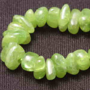 �X�t�F�[��,�V�R�΃r�[�Y,���K�[��