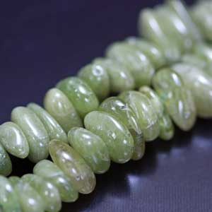 �X�t�F�[���E�T�U���E�V�R�΃r�[�Y�E���K�[��