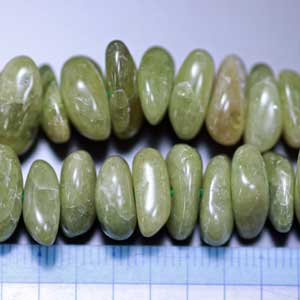 �X�t�F�[���E�T�U���E�V�R�΃r�[�Y�E���K�[��