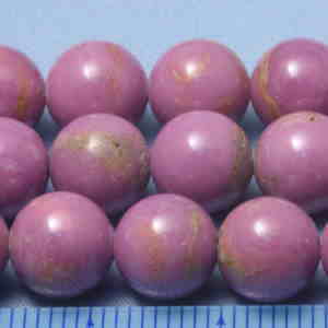 �t�H�X�t�H�V�f���C�g