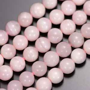 �V�R�΃r�[�Y,�J���T�C�g,���K�[��