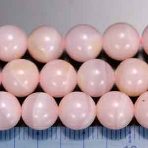 �s���N�J���T�C�g,�V�R�΃r�[�Y,���K�[��