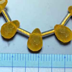 �I�����W�J���T�C�g,�V�R�΃r�[�Y,���K�[��