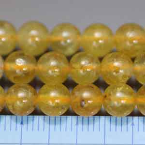 �x����,�V�R�΃r�[�Y,���K�[��