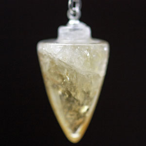 �y���f������ �E�V�g����