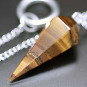 �y���f������,�_�E���W���O,�^�C�K�[�A�C,�V�R��,���K�[��