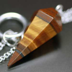 �y���f������,�_�E���W���O,�^�C�K�[�A�C,�V�R��,���K�[��