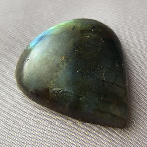 �V�R�΁E���u���g���C�g