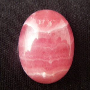 �V�R��,�J�{�V����,���[�h�N���T�C�g,�C���J���[�Y,,���K�[��