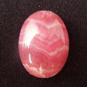 �V�R��,�J�{�V����,���[�h�N���T�C�g,�C���J���[�Y,,���K�[��