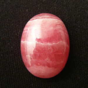 �V�R��,�J�{�V����,���[�h�N���T�C�g,�C���J���[�Y,,���K�[��