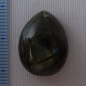 �V�R�΁E���u���g���C�g