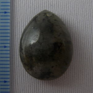 �V�R�΁E���u���g���C�g