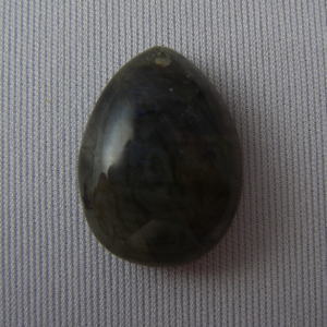 �V�R�΁E���u���g���C�g