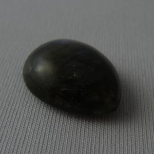 �V�R�΁E���u���g���C�g