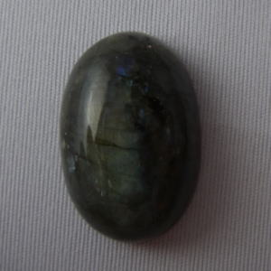 �V�R�΁E���u���g���C�g