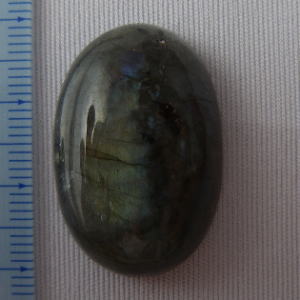 �V�R�΁E���u���g���C�g