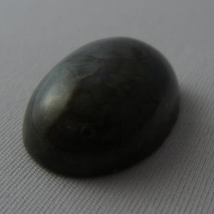 �V�R�΁E���u���g���C�g