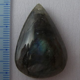 �V�R�΁E���u���g���C�g