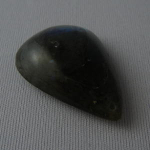 �V�R�΁E���u���g���C�g