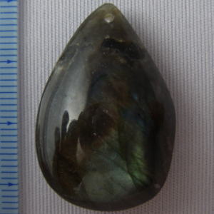 �V�R�΁E���u���g���C�g