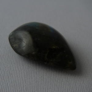 �V�R�΁E���u���g���C�g