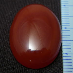 �V�R�΁E�J�[�l���A��