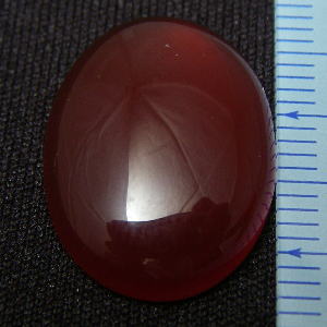 �V�R�΁E�J�[�l���A��