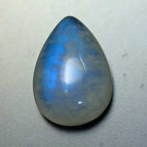 �V�R��,�J�{�V����,���[���X�g�[��,���K�[��