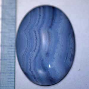 �V�R�΁E�u���[���[�X�A�Q�[�g