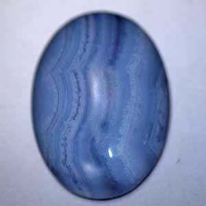 �V�R�΁E�u���[���[�X�A�Q�[�g