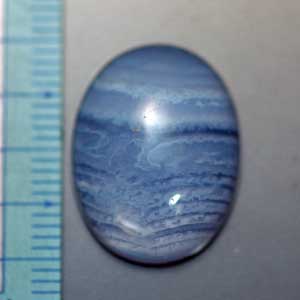 �V�R�΁E�u���[���[�X�A�Q�[�g