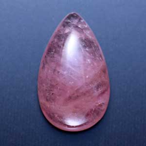 �V�R��,�J�{�V����,�g���}����,���K�[��