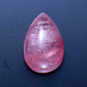 �V�R��,�J�{�V����,�g���}����,���K�[��