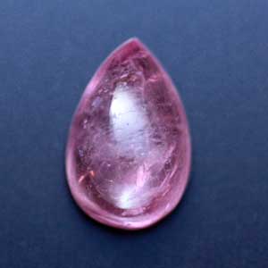 �V�R��,�J�{�V����,�g���}����,���K�[��