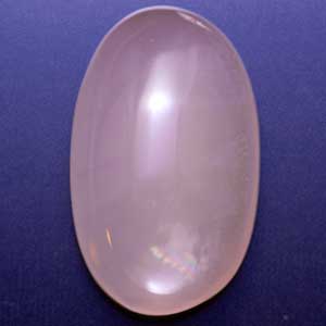 �V�R��,�J�{�V����,���[�Y�N�I�[�c,���K�[��