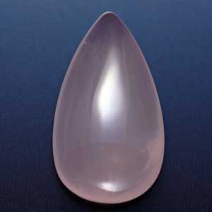 �V�R��,�J�{�V����,���[�Y�N�I�[�c,���K�[��