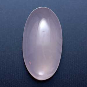 �V�R��,�J�{�V����,���[�Y�N�I�[�c,���K�[��